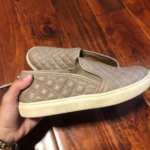 Steve Madden Ecentreq shoes